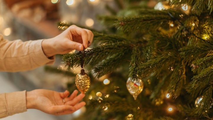 Køb juletræet online